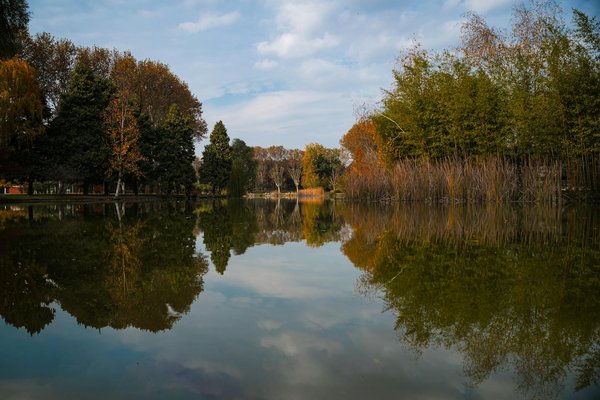 La sophrologie : une technique de relaxation à découvrir