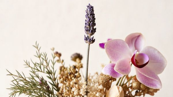 Top astuces pour choisir des fleurs de CBD légales et efficaces